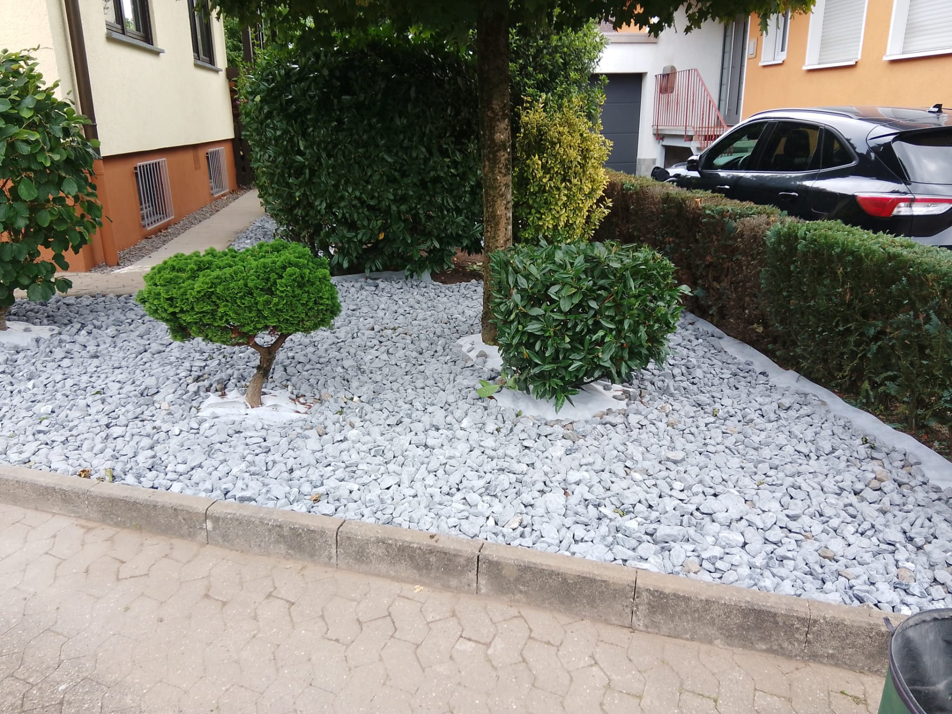 Formgeschnittene Hecken und gepflegte Bäume in einem Schottergarten